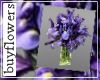 *F* iris in glass vass
