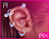 ! Earrings ❤ R 1021