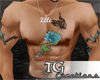 {TG} Passion Flower