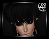 KC* Black Amaris