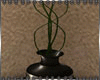 Bella Vista : Deco Vase