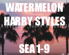 Harry Styles Watermelon