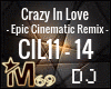 Crazy In Love Epic 2
