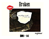Broken spin song bn1-14