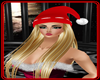 !   SANTA HAT &  HAIR