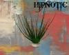 WHITE PLANT