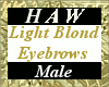 Light Blond Eyebrows - M