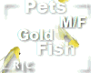 R|C Gold Fish Yellow MF