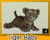 Safari Baby Tiger