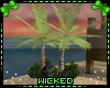 :W: Summer Palm Tree