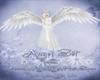 Angel Pure White