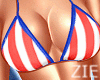 July 4th Set USA V8
