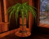 ~S~logcabin potted plant