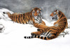 !D Chinese Painting Tigr