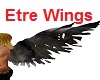 Etre Wings GA