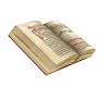BIBLE