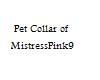 [MP9]Pet collar
