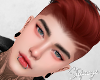 S. Malcolm Aurburn