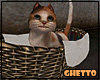 Ghetto Pet: Kitty+mouse 