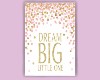 ND| Dream Big