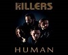 Killers - Human