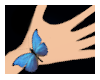 (b) hand butterfly