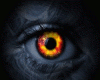The eye of a beast