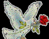 peace dove with rose