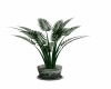 {LS} Palm Planter