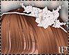 Ethereal Bride Crown