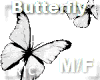 R|C White Butterfly M/F