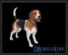 [LL] Beagle AF