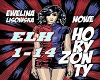 Lisowska-Nowe horyzonty