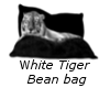 crash's white tiger bean