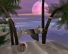 Palm tree hammock lounge