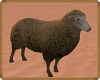 [MAU]  ANIMATED SHEEP