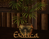 Exotica Palm Plant