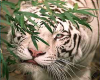 White Tiger Sticker