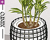 [i] Modern Planter