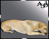 A3D* Labrador