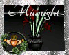~QI~Midnight Sheen Plant