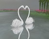 IMI white swans