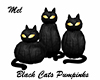 Black Cats PumpkinsLight