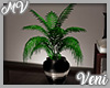 *MV* Reverie Plant 1