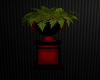 Dark Mystical Urn/Plant