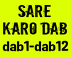 Sare Karo Dab