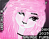 . Squeaky | Hair