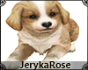 [JR] Cute Puppy Anim