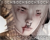 𝒔. addon 091