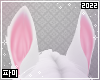 Cute white bunny ears